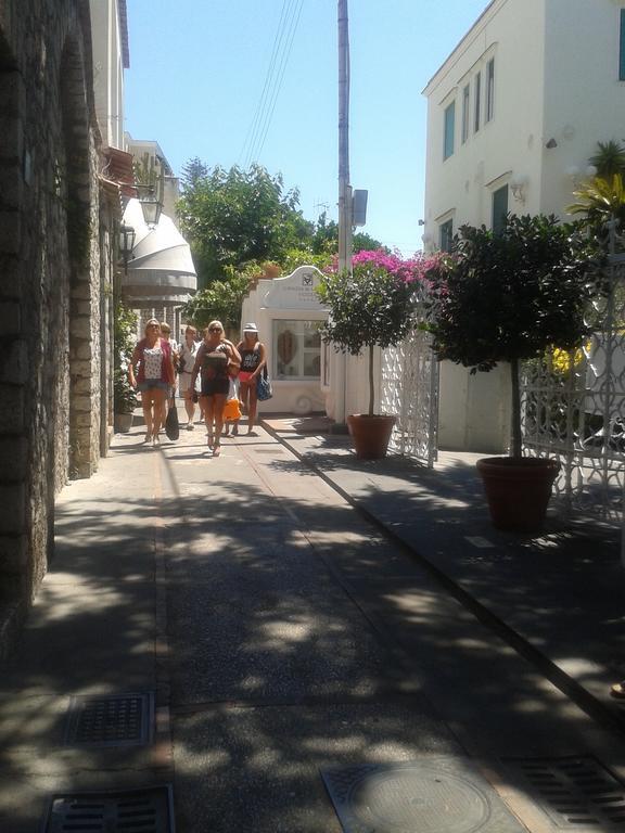 Bed & Breakfast Villa Apollo B&B 2*