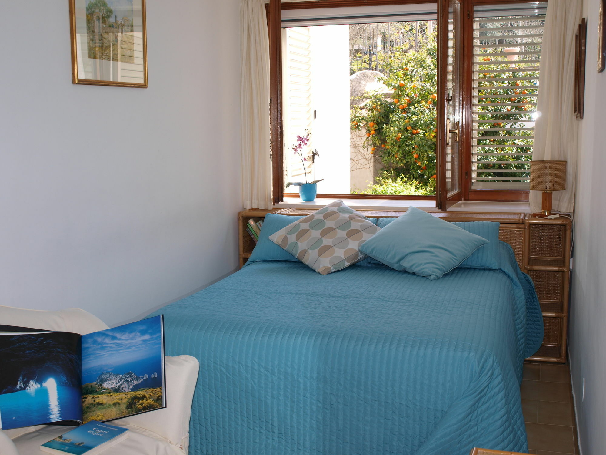 Villa Apollo B&B Bed & Breakfast Capri
