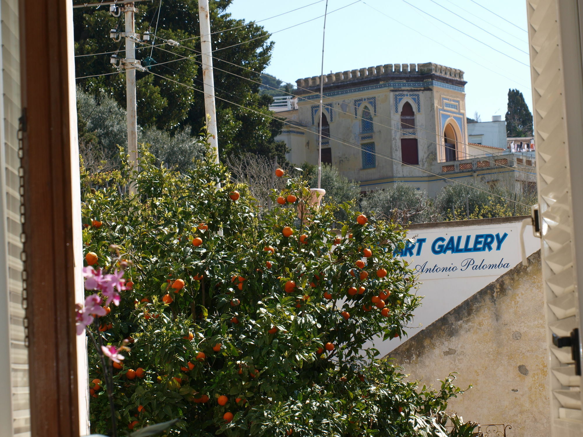 Villa Apollo B&B Capri