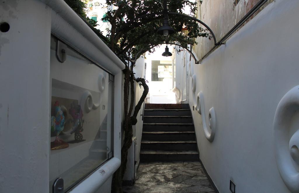 Villa Apollo B&B 2*